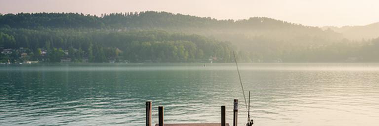Ruhiges Ufer des Genfersees bei Nyon mit Angelsteg und bewaldetem Horizont
